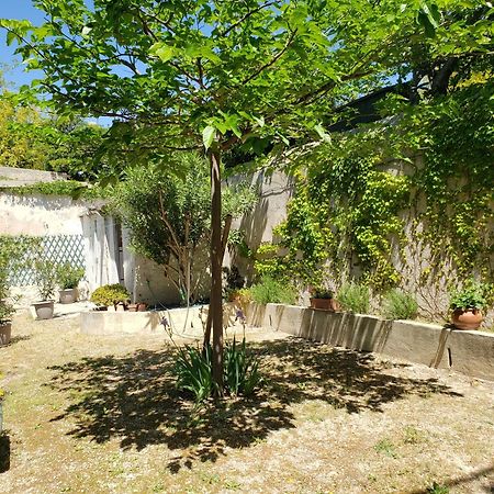 Appartement Au Coeur De Cassis Avec Jardin 외부 사진