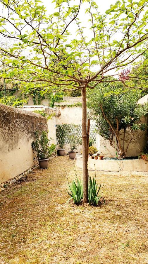 Appartement Au Coeur De Cassis Avec Jardin 외부 사진