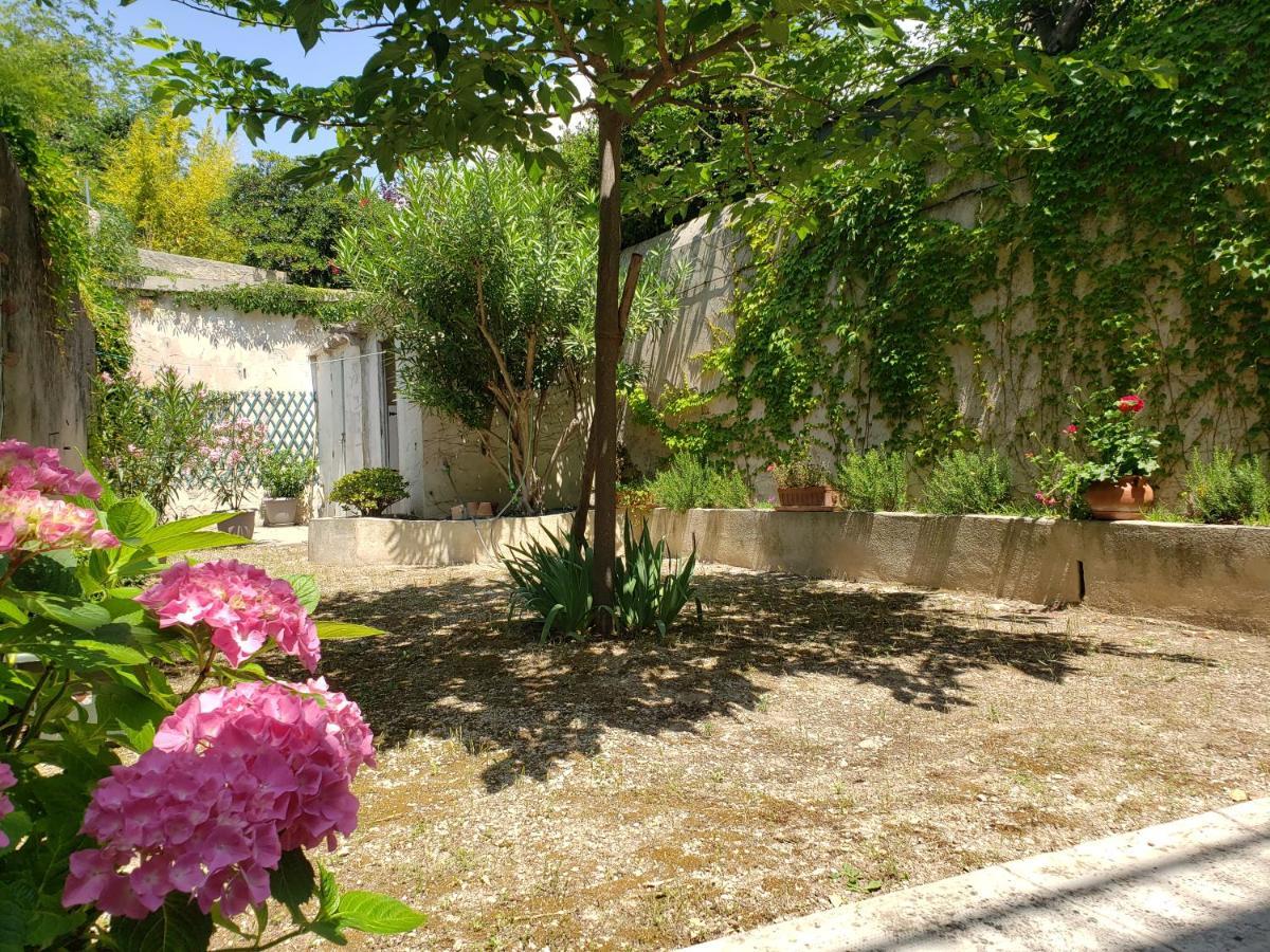 Appartement Au Coeur De Cassis Avec Jardin 외부 사진